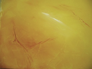 yellow (2005), Öl auf Leinwand, 40x50